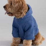 Standard Paw Hoodie