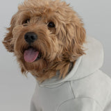 Tranquil Paw Hoodie