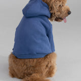 Standard Paw Hoodie