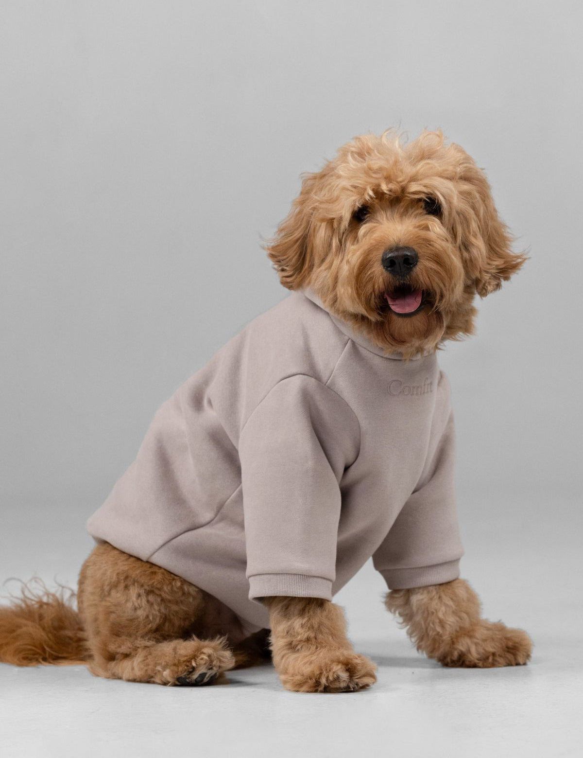 Signature Paw Hoodie -Pre Order