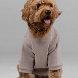 Signature Paw Hoodie -Pre Order