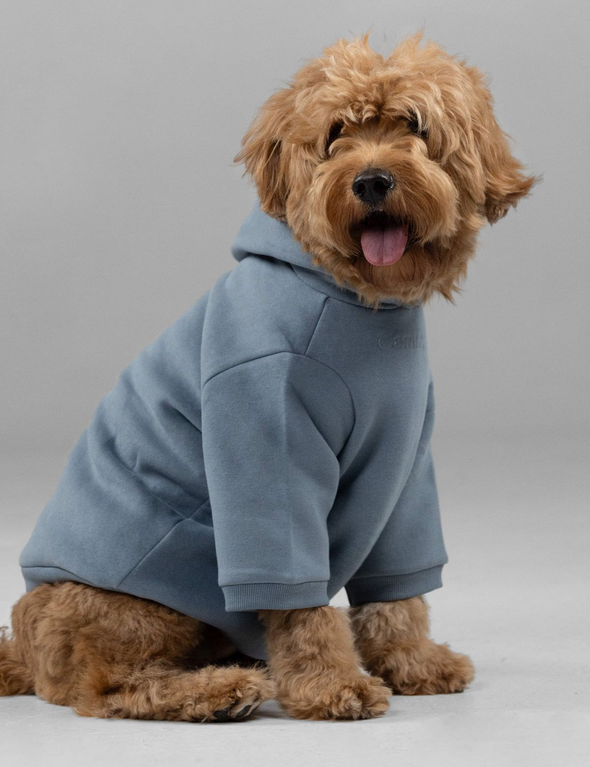 Signature Paw Hoodie -Pre Order