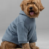Signature Paw Hoodie -Pre Order