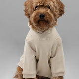 Signature Paw Hoodie