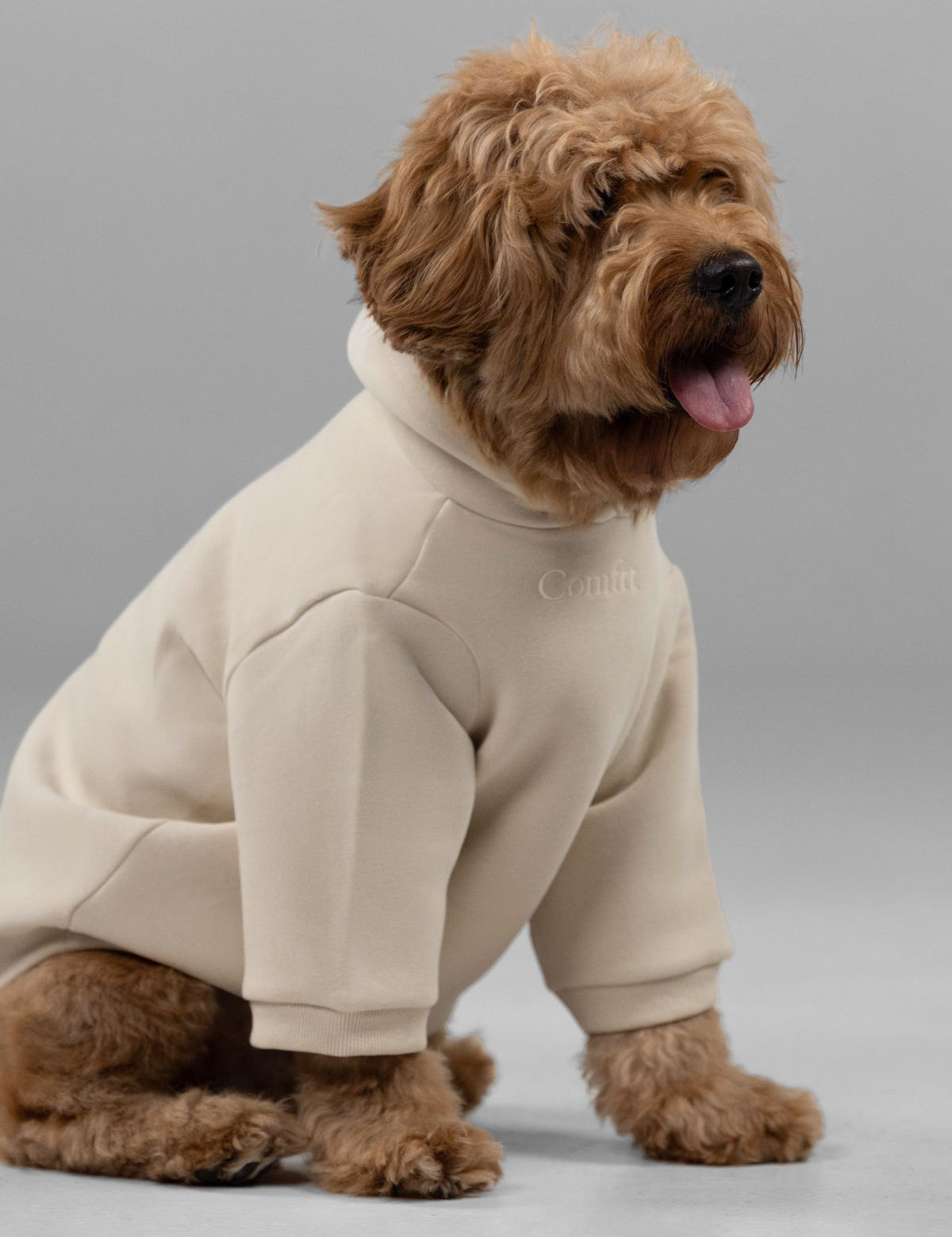 Signature Paw Hoodie -Pre Order