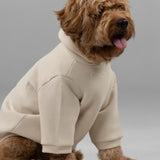 Signature Paw Hoodie -Pre Order