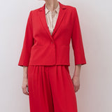 The Shrunken Blazer